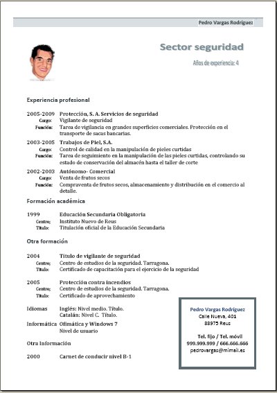 plantilla de curriculum vitae combinado o mixto